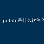 potato chat是什么聊天软件？