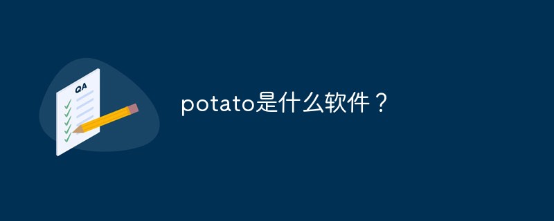 potato chat是什么聊天软件？